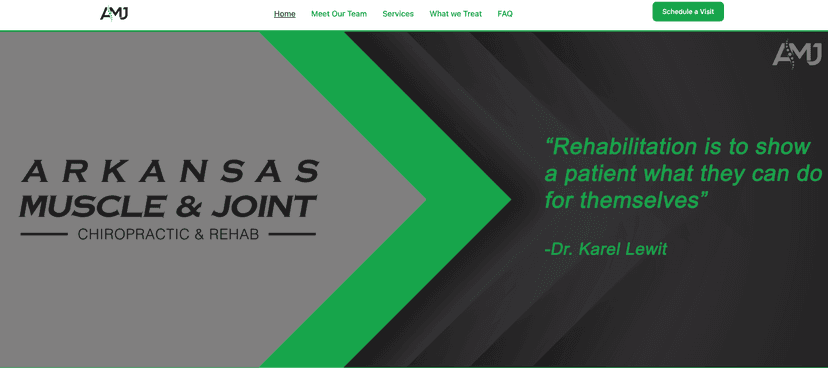 AMJ Chiro Website