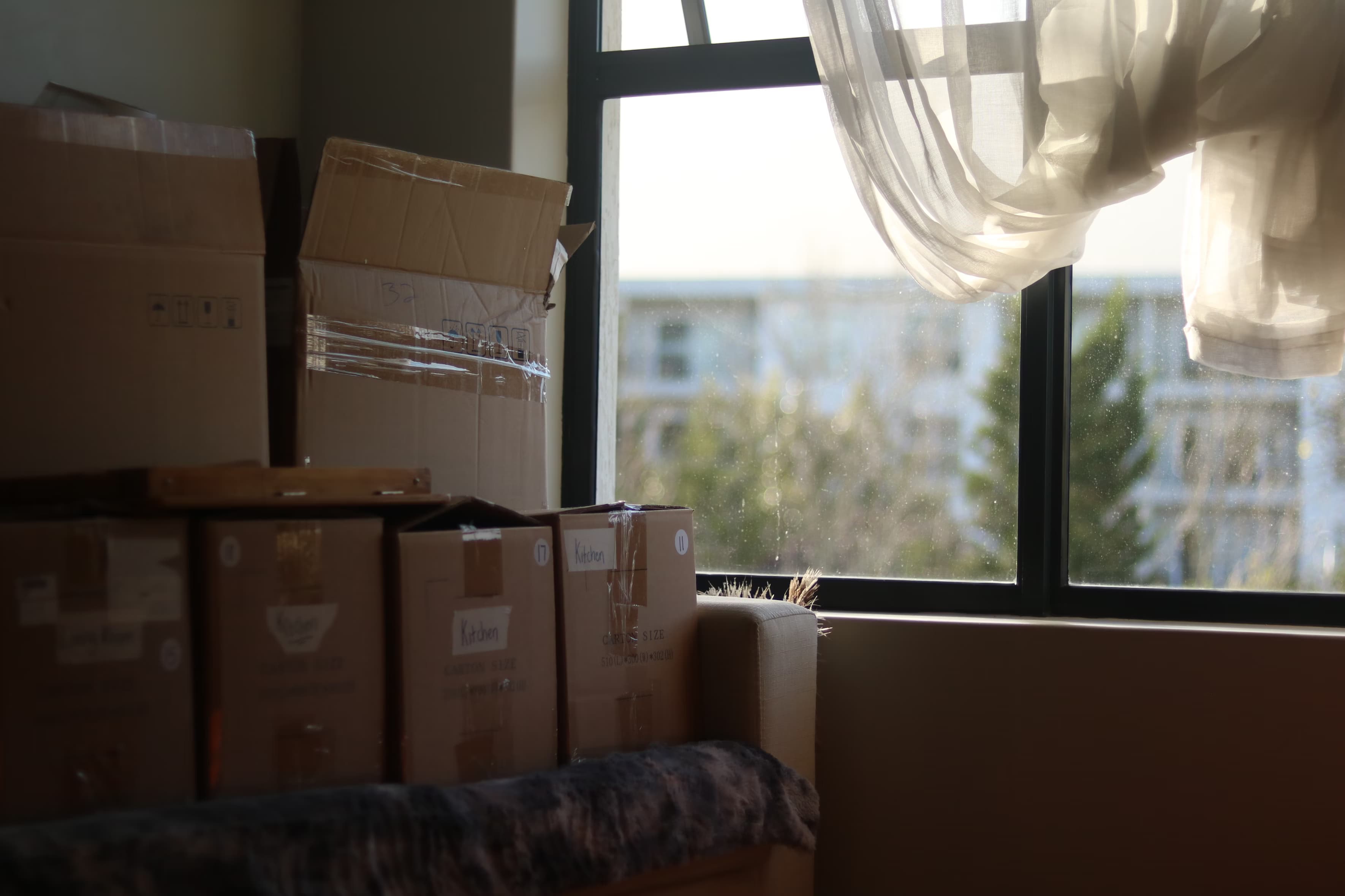 Blue Diamond Relocation Website Launch: A Northwest Arkansas Moving Company Case Study